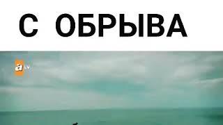 Обиженные цветы. Эйлюль сбросилась с обрыва.