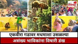 एकवीरा गडावर मधमाशा उसळल्या; असंख्य भाविकांना विषारी डंख | Vadalwara Live