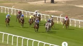 Horse Racing Death 21 - Lord Chapelfield at Yarmouth Racecourse