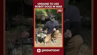 Ukraine To Use Robot Dogs In War | Russia-Ukraine War News | India Today