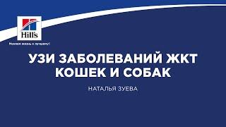 Вебинар на тему: "УЗ диагностика заболеваний ЖКТ кошек и собак". Лектор – Наталья Зуева.