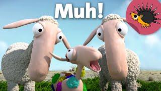 "Muh" macht das Schaf? | Ich kenne ein Tier | SWR Kindernetz | Trickfilm | Animation