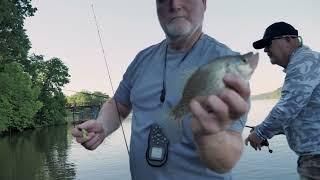 Crappie Fishing in Tennessee with the New Okuma TEC Crappie Rods