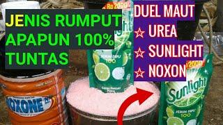 memperbanyak Racun Rumput Noxon @seputarkesehatandanpertanian