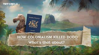 Dodo: A bird that colonialism wiped off face of earth