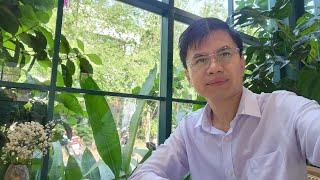 Lê Văn Thắng đang phát trực tiếp!