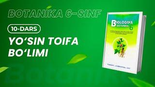 Botanika 6-sinf  | Yo‘sin toifa bo‘limi | 10-dars