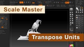 ZBrush Шпаргалка - 6: Размеры и ScaleMaster