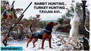 KARDA TAVŞAN AVI #hunting#tavşanavı#hare#tavşan#avcılık#rabbit#rabbithunting#partridgehunting#hunter