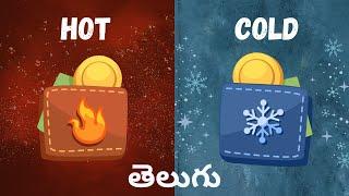 Hot Wallet vs Cold Wallet Explained in Telugu