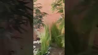 #tunisie #hammamet #hotel #dji #osmo #mobile #3