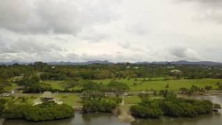 Fly at Suva park