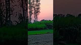 #good morning all of them 