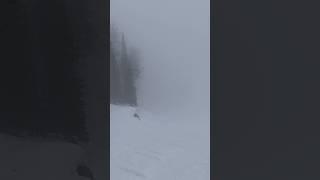 Жесть! Такого тумана в горах мы ещë не видели. #туман #горы #лес #fog #mountains #forest