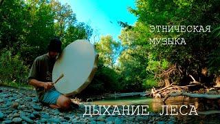 Дыхание Леса / Этническая музыка / Шаманский Бубен , Флейта Пимак , Варган