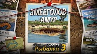 "Мутант" Змееголов. Амур. Русская Рыбалка 3.