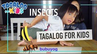 Insects in Tagalog (Filipino) | Tagalog for Kids