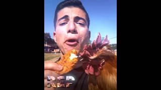 man had opps before death ️ | #shorts #chicken #friedchicken #eatachickeninfrontofachicken #edit