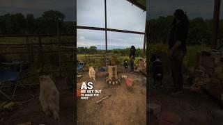 Smelting bog iron for Hammers Share this to a friend and get our project known 