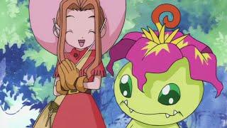 Mimi and Palmon (Saban Dub vs Abridgilliance)