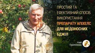 Простий та ефективний спосіб використання препарату Апіхелс для медоносних бджіл