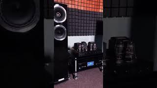 Fyne Audio & Cary Audio #hifisystem #audiosystem #speakers #tubeamp