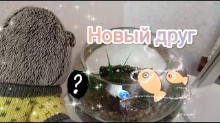 У нас с Басиком новый друг! | Где Джошуа?! | Новый герой канала