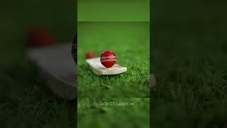 Addicted!  #shorts #cricket