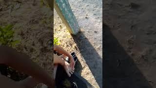 1 августа 2024 г.