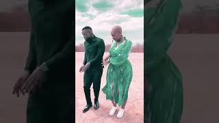 Harmonize  na Kajala-Amelowa challenge #harmonize #short