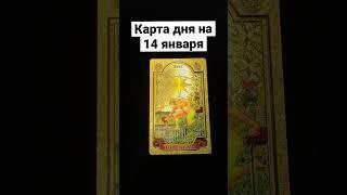 14 января 2023 г. #таро #tarot #картадня