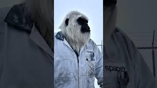Yeti Ate wrench  in SpaceX #shorts #yetivlog #funny