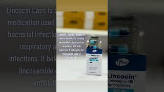 Lincocin Capsule |TMC Medicine wholesaler #antibiotic #medicine #treat #bacteria #skin #infection
