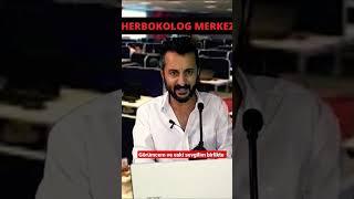 Aile içi ilişkiler silsilesi