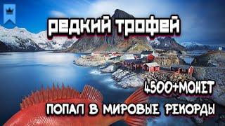 РР4 | Синий трофей | 4500+монет | +Меч | Норвежское море