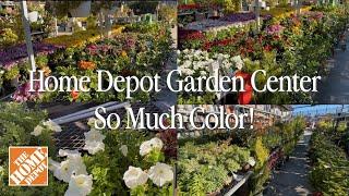 Shopping Trip To Home Depot’s Garden Center In December! || Visit Our Garden