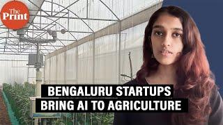 These Bengaluru agritech startups are bringing AI and farmers together