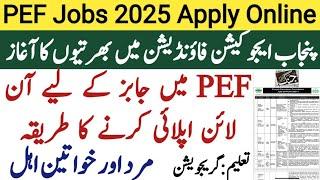 PEF Jobs 2025 | Punjab Education Foundation Job 2025 | Punjab Jobs Portal Online Apply | Education