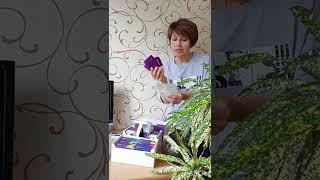 Коло-Вада Плюс и Коло-Вада Лайт.