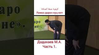 Дадахаев М.А.(1)