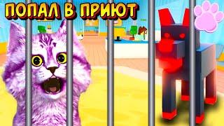 КОТЁНОК ПОПАЛ В ПРИЮТ ДЛЯ СОБАК в Роблокс Симулятор - Pet Story Roblox