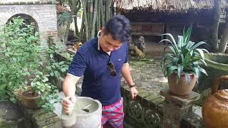 TÚY CA
