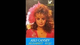 Aslı Cansev - Sevdalısın (1987)