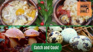 We Found Quail Eggs and Mushrooms, Catch And Cook! | King Boletus Edulis, Fungi, ASMR Nature Cooking