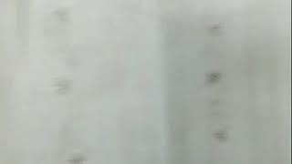 Tik Tok