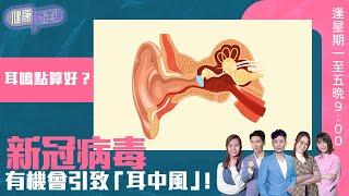 健康關注組｜耳鳴點算好？新冠病毒有機會引致「耳中風」！｜HOY TV｜77台｜敖嘉年｜黃芳雯