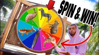 SPIN TO WIN!! BUYING THE ANIMAL IT LANDS ON!!