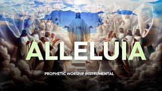 ALLELUIA : Prophetic Worship Instrumental by Benny Hinn