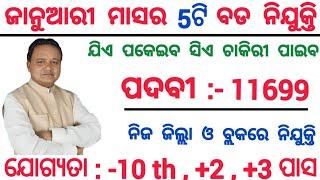 January Month Top 5 Odisha Govt Jobs 2025 ! Total Post 11699 ! 10th Pass Jobs