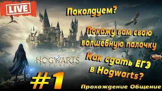 Поступил в Хогвартс!  Hogwarts Legacy  Прохождение #1